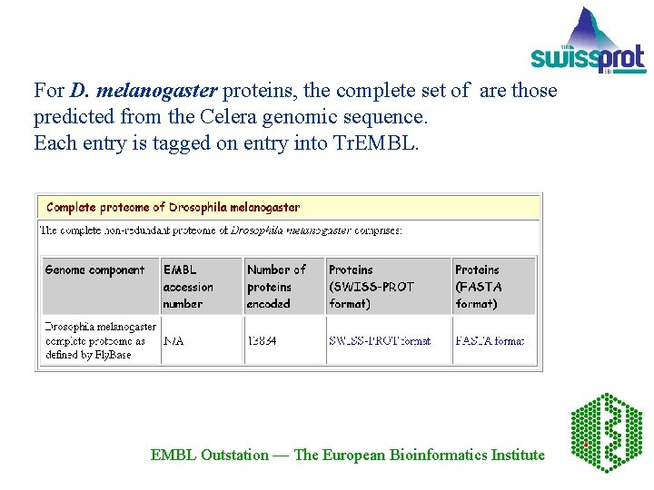For D. melanogaster proteins, the complete set of are those predicted from the Celera