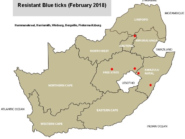 Resistant Blue ticks (February 2018) jkccff Hammanskraal, Harrismith, Winburg, Bergville, Pietermaritzburg 