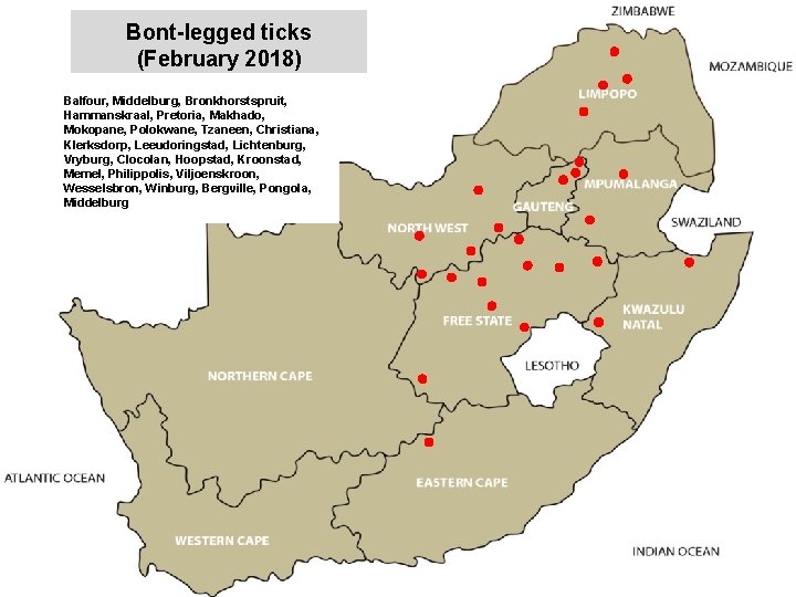 Bont-legged ticks (February 2018) Balfour, Middelburg, Bronkhorstspruit, Hammanskraal, Pretoria, Makhado, Mokopane, Polokwane, Tzaneen, Christiana,