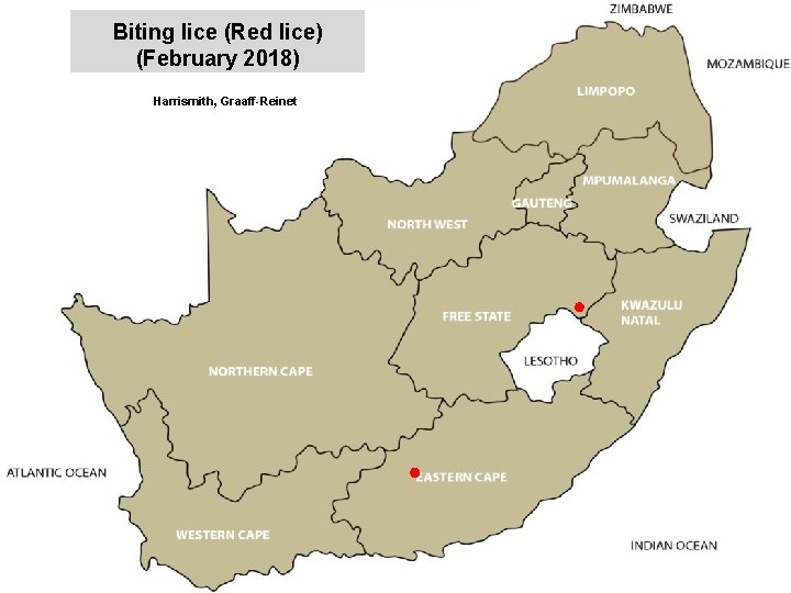 Biting lice (Red lice) (February 2018) Harrismith, Graaff-Reinet jkccff 