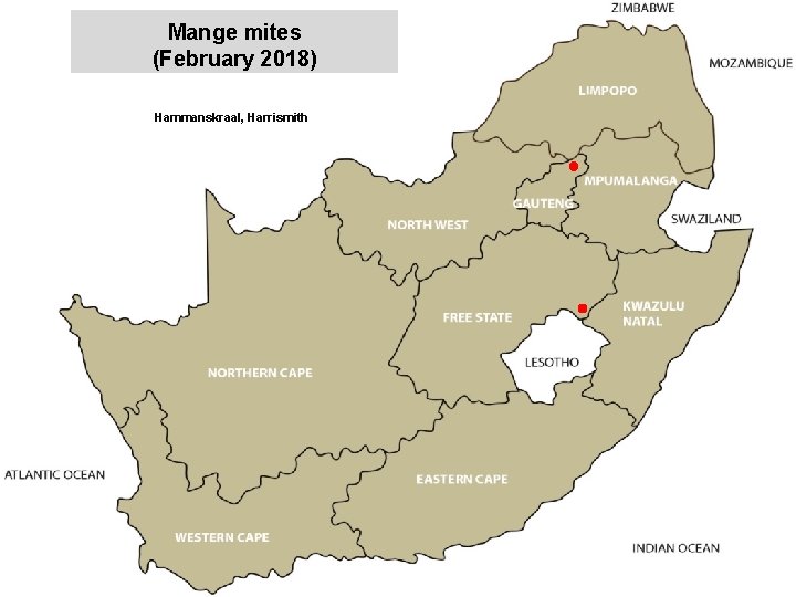 Mange mites (February 2018) Hammanskraal, Harrismith jkccff 