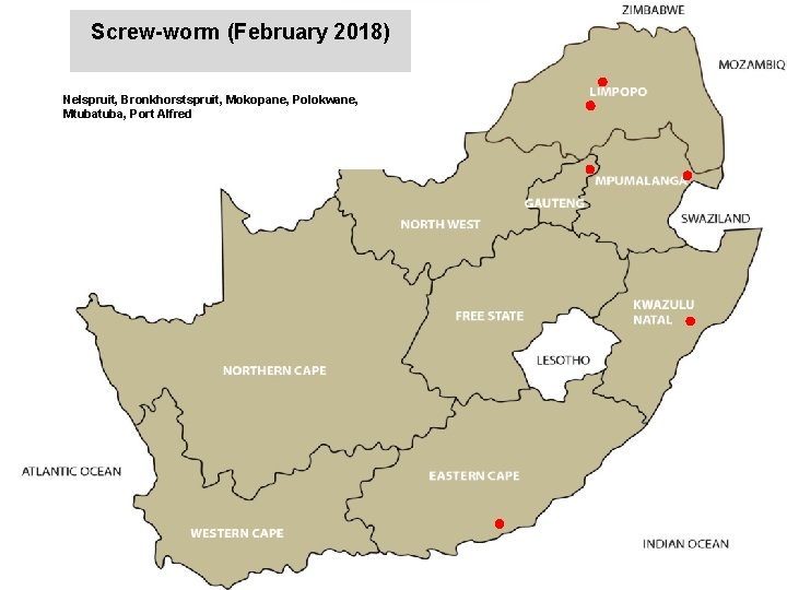Screw-worm (February 2018) jkccff Nelspruit, Bronkhorstspruit, Mokopane, Polokwane, Mtuba, Port Alfred 