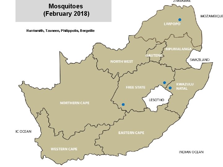 Mosquitoes (February 2018) Harrismith, Tzaneen, Philippolis, Bergville ooo o jkccff 