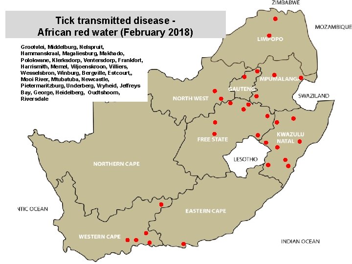 Tick transmitted disease African red water (February 2018) Grootvlei, Middelburg, Nelspruit, Hammanskraal, Magaliesburg, Makhado,