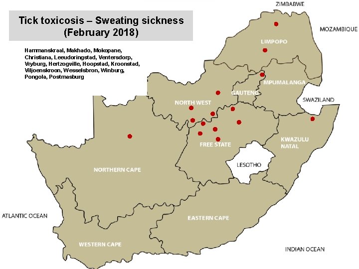 Tick toxicosis – Sweating sickness (February 2018) Hammanskraal, Makhado, Mokopane, Christiana, Leeudoringstad, Ventersdorp, Vryburg,