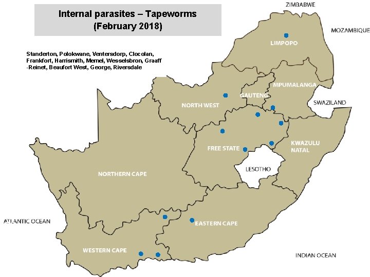 Internal parasites – Tapeworms (February 2018) jkccff Standerton, Polokwane, Ventersdorp, Clocolan, Frankfort, Harrismith, Memel,