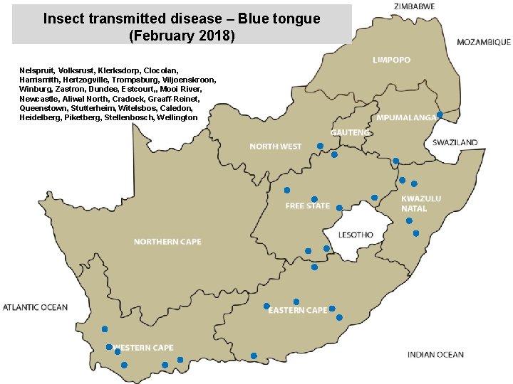 Insect transmitted disease – Blue tongue (February 2018) kjkjnmn Nelspruit, Volksrust, Klerksdorp, Clocolan, Harrismith,
