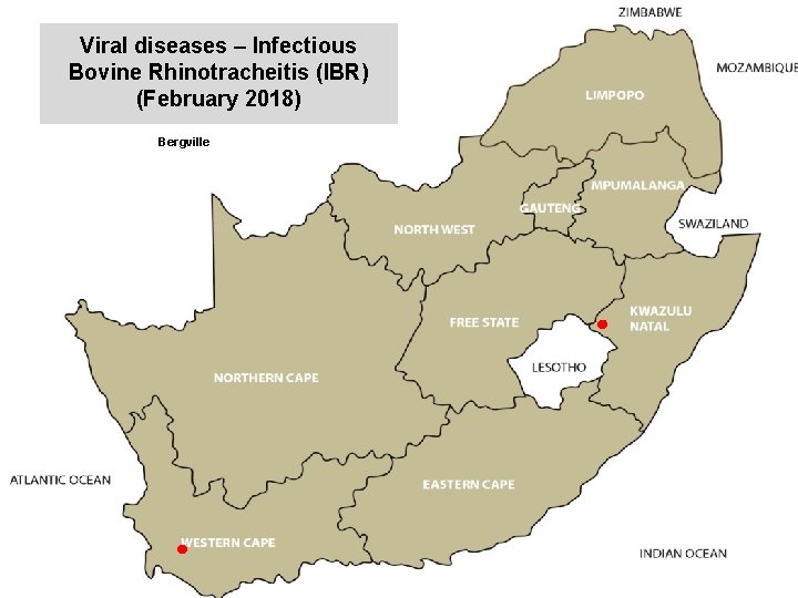 Viral diseases – Infectious Bovine Rhinotracheitis (IBR) (February 2018) kjkjnmn Bergville 