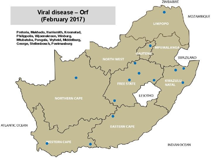 Viral disease – Orf (February 2017) kjkjnmn Pretoria, Makhado, Harrismith, Kroonstad, Philippolis, Viljoenskroon, Winburg,