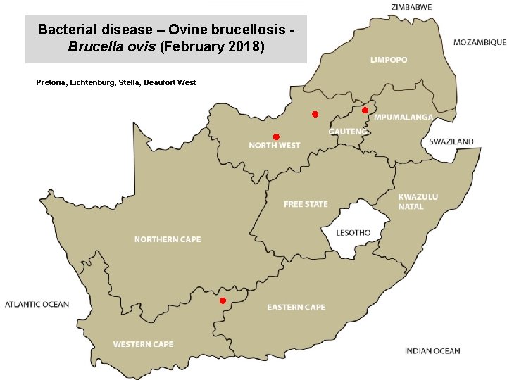 Bacterial disease – Ovine brucellosis Brucella ovis (February 2018) kjkjnmn Pretoria, Lichtenburg, Stella, Beaufort