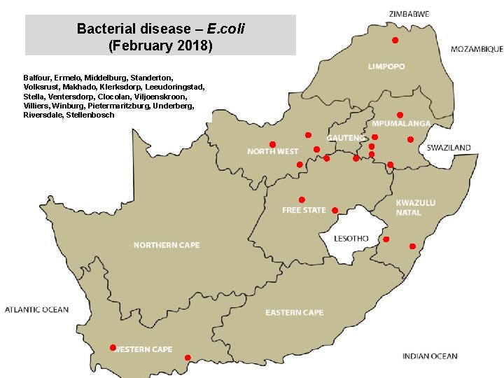 Bacterial disease – E. coli (February 2018) kjkjnmn Balfour, Ermelo, Middelburg, Standerton, Volksrust, Makhado,