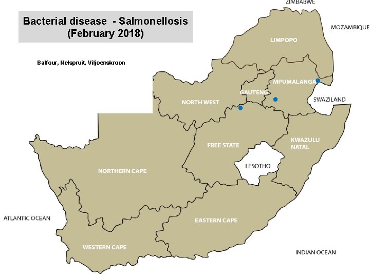 Bacterial disease - Salmonellosis (February 2018) kjkjnmn Balfour, Nelspruit, Viljoenskroon 