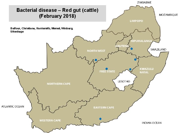 Bacterial disease – Red gut (cattle) (February 2018) kjkjnmn Balfour, Christiana, Harrismith, Memel, Winburg,