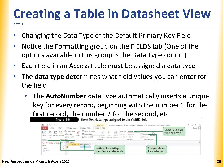 XP Creating a Table in Datasheet View (Cont. ) • Changing the Data Type