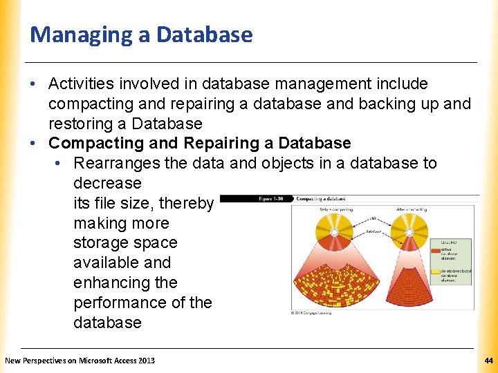 Managing a Database XP • Activities involved in database management include compacting and repairing