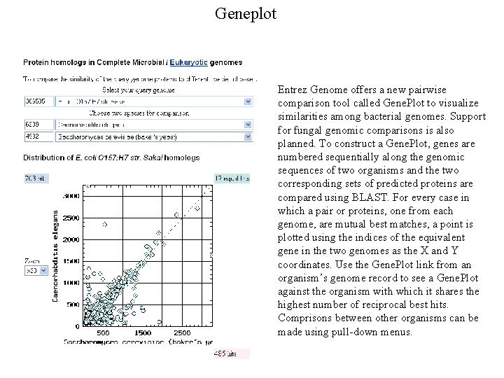 Geneplot Entrez Genome offers a new pairwise comparison tool called Gene. Plot to visualize