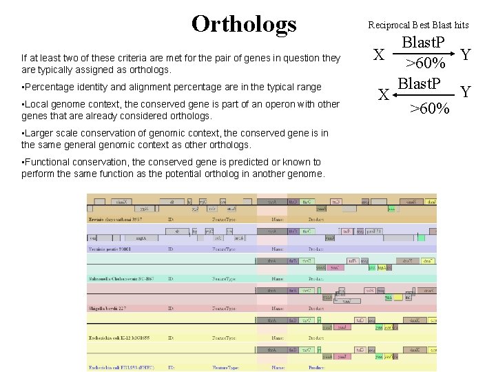 Orthologs If at least two of these criteria are met for the pair of