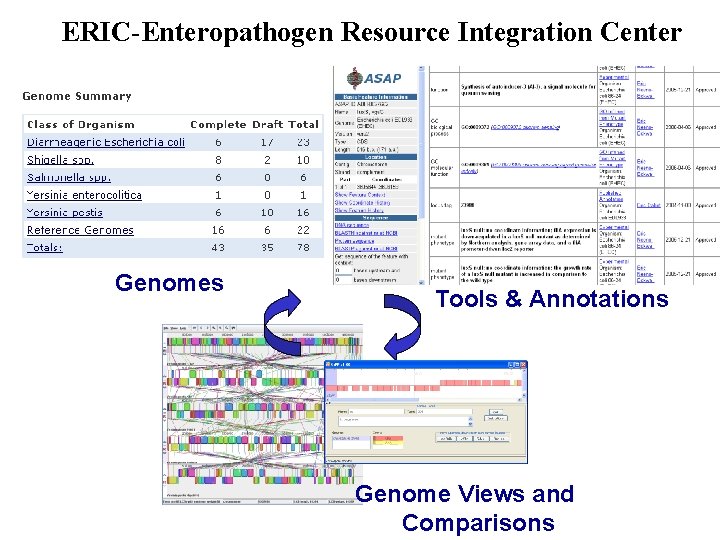 ERIC-Enteropathogen Resource Integration Center Genomes Tools & Annotations Genome Views and Comparisons 