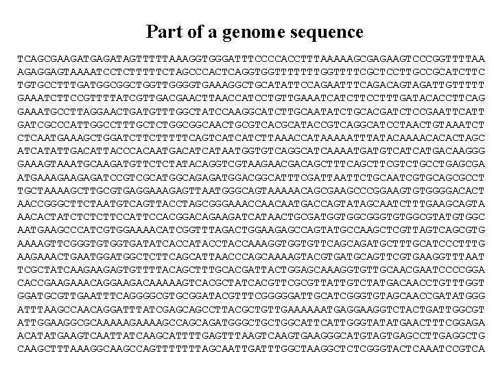 Part of a genome sequence TCAGCGAAGATGAGATAGTTTTTAAAGGTGGGATTTCCCCACCTTTAAAAAGCGAGAAGTCCCGGTTTTAA AGAGGAGTAAAATCCTCTTTTTCTAGCCCACTCAGGTGGTTTTTTTGGTTTTCGCTCCTTGCCGCATCTTC TGTGCCTTTGATGGCGGCTGGTTGGGGTGAAAGGCTGCATATTCCAGAATTTCAGACAGTAGATTGTTTTT GAAATCTTCCGTTTTATCGTTGACGAACTTAACCATCCTGTTGAAATCATCTTCCTTTGATACACCTTCAG GAAATGCCTTAGGAACTGATGTTTGGCTATCCAAGGCATCTTGCAATATCTGCACGATCTCCGAATTCATT GATCGCCCATTGGCCTTTGCTCTGGCGGCAACTGCGTCACGCATACCGTCAGGCATCCTAACTGTAAATCT CTCAATGAAAGCTGGATCTTCTTTTTCAGTCATCATCTTAAACCATAAAAATTTATACAAAACACACTAGC ATCATATTGACATTACCCACAATGACATCATAATGGTGTCAGGCATCAAAATGATGTCATCATGACAAGGG GAAAGTAAATGCAAGATGTTCTCTATACAGGTCGTAAGAACGACAGCTTTCAGCTTCGTCTGCCTGAGCGA