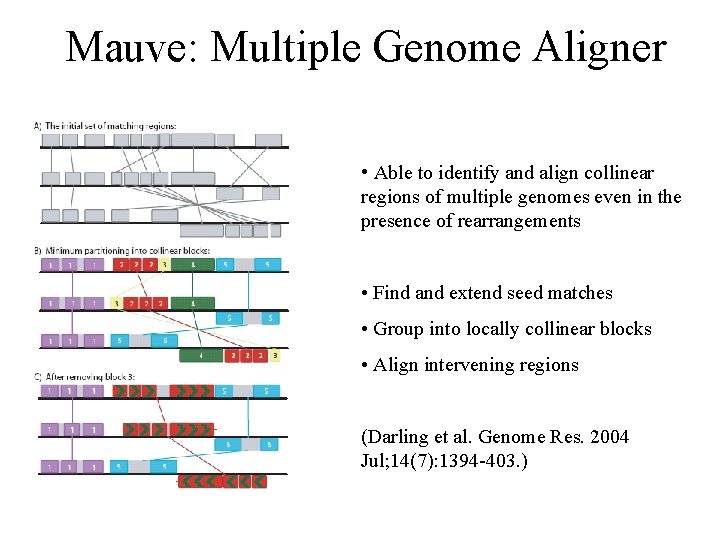 Mauve: Multiple Genome Aligner • Able to identify and align collinear regions of multiple