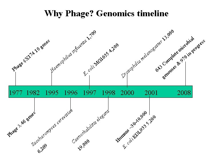 Why Phage? Genomics timeline es za n e en f e g 74 1