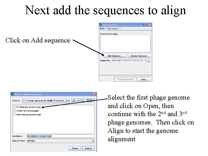 Next add the sequences to align Click on Add sequence Select the first phage