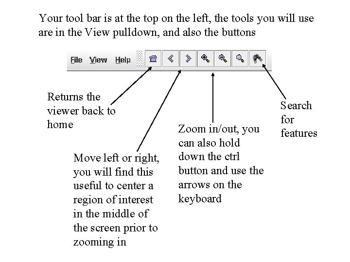 Your tool bar is at the top on the left, the tools you will