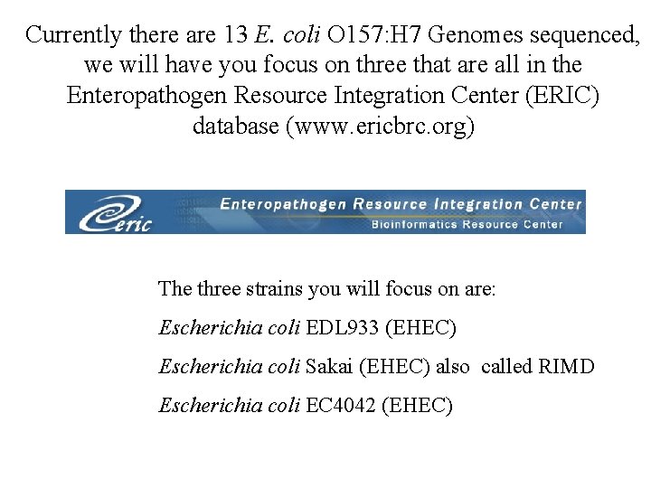 Currently there are 13 E. coli O 157: H 7 Genomes sequenced, we will
