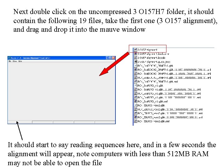 Next double click on the uncompressed 3 O 157 H 7 folder, it should