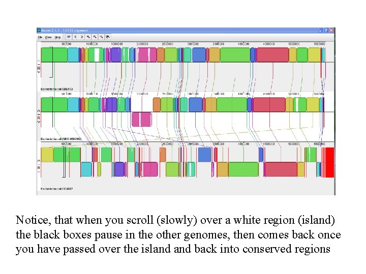 Notice, that when you scroll (slowly) over a white region (island) the black boxes