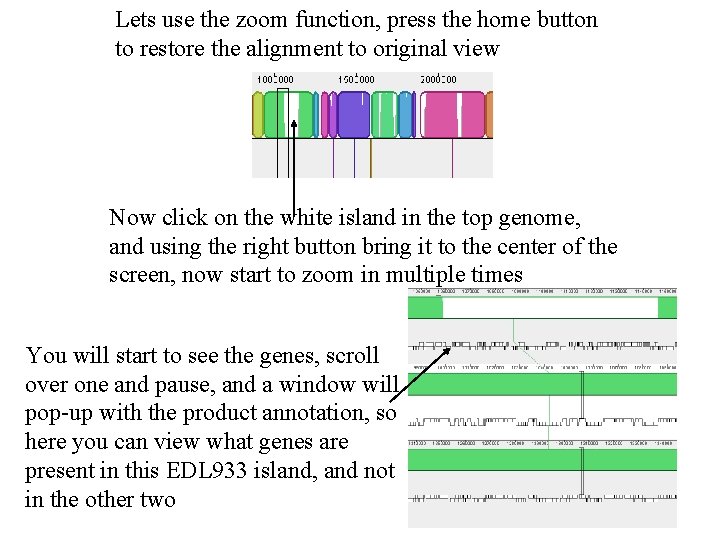 Lets use the zoom function, press the home button to restore the alignment to