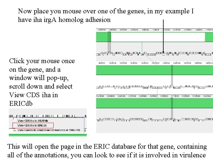 Now place you mouse over one of the genes, in my example I have