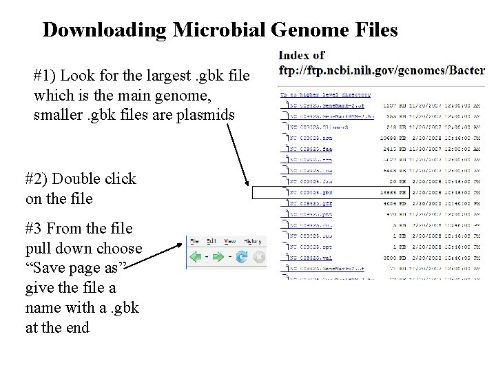 Downloading Microbial Genome Files #1) Look for the largest. gbk file which is the
