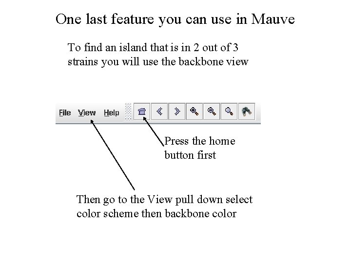 One last feature you can use in Mauve To find an island that is