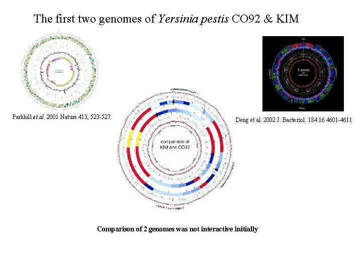 The first two genomes of Yersinia pestis CO 92 & KIM Parkhill et al.