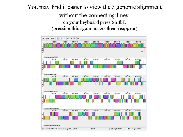 You may find it easier to view the 5 genome alignment without the connecting
