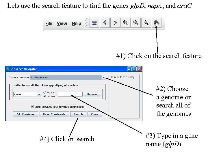 Lets use the search feature to find the genes glp. D, nap. A, and