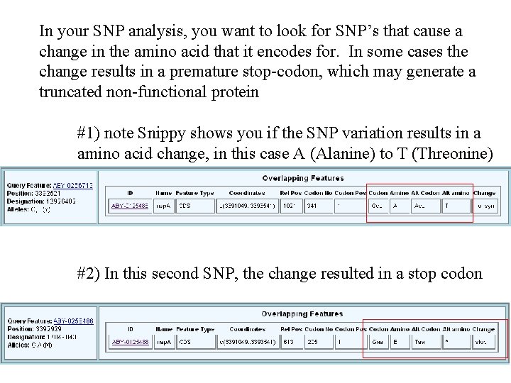 In your SNP analysis, you want to look for SNP’s that cause a change