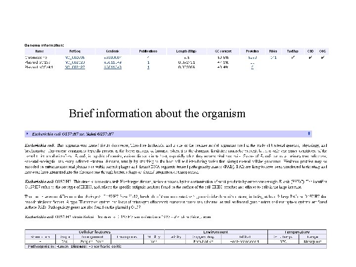 Brief information about the organism 