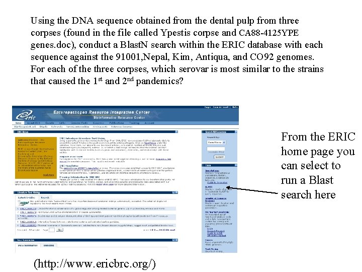 Using the DNA sequence obtained from the dental pulp from three corpses (found in