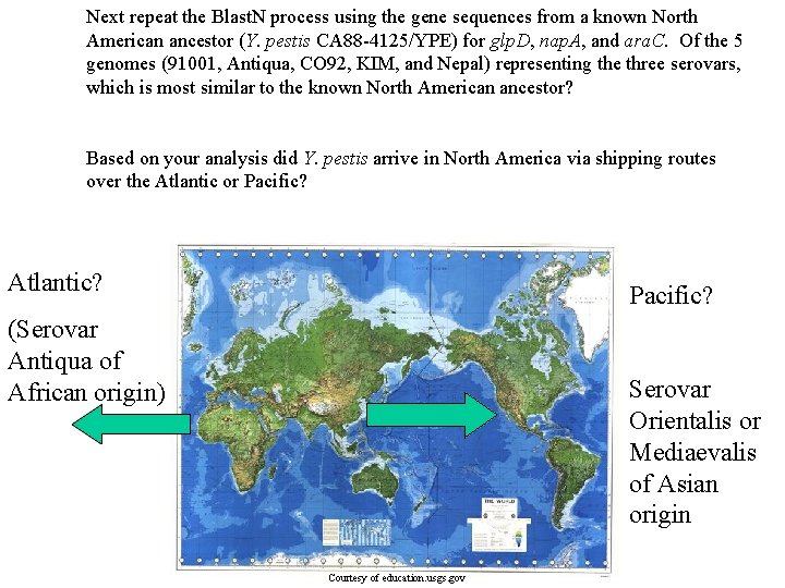 Next repeat the Blast. N process using the gene sequences from a known North