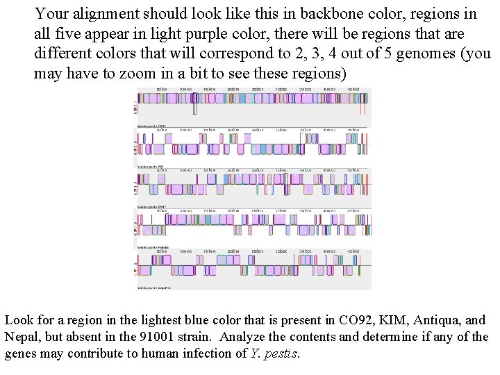 Your alignment should look like this in backbone color, regions in all five appear