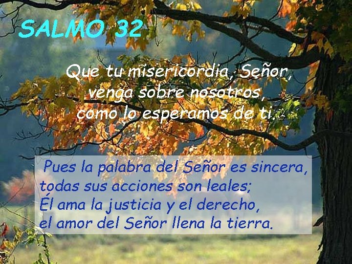 SALMO 32 Que tu misericordia, Señor, venga sobre nosotros, como lo esperamos de ti.