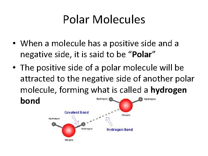 Polar Molecules • When a molecule has a positive side and a negative side,