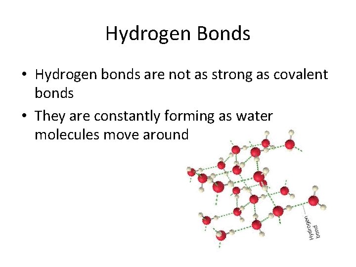 Hydrogen Bonds • Hydrogen bonds are not as strong as covalent bonds • They