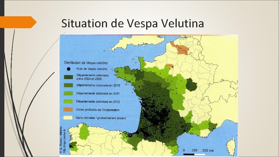 Situation de Vespa Velutina 