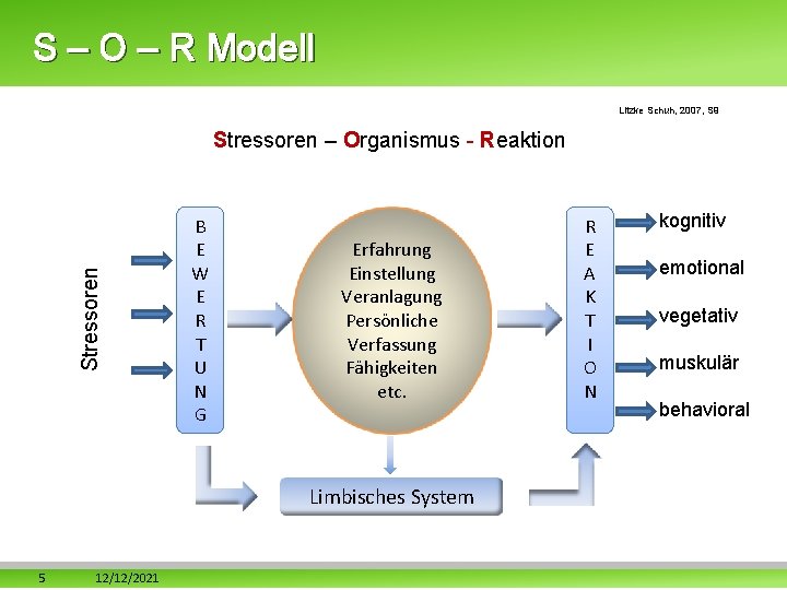 S – O – R Modell Litzke Schuh, 2007, S 9 Stressoren – Organismus