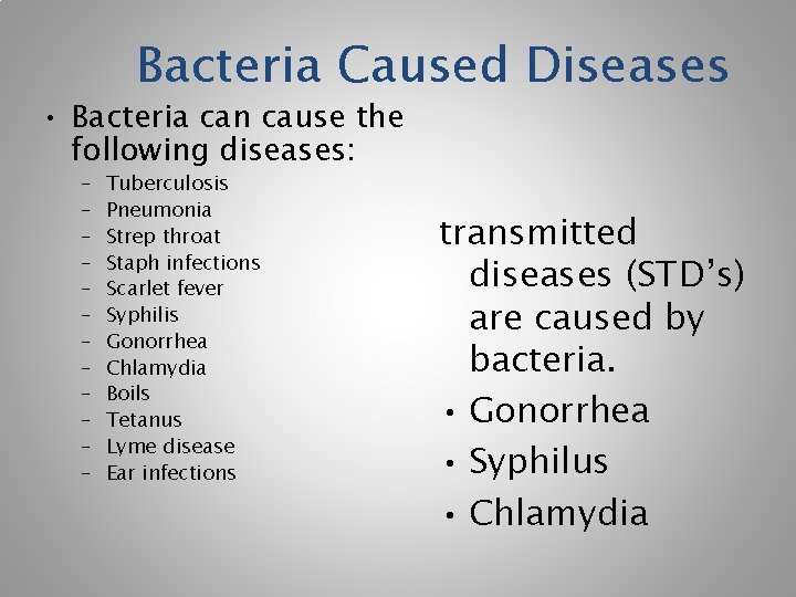 Bacteria Caused Diseases • Bacteria can cause the following diseases: – – – Tuberculosis