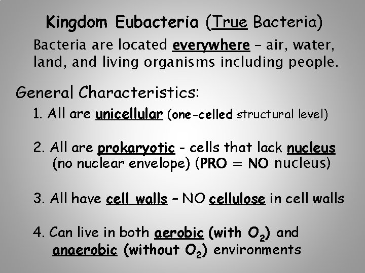 Kingdom Eubacteria (True Bacteria) Bacteria are located everywhere – air, water, land, and living