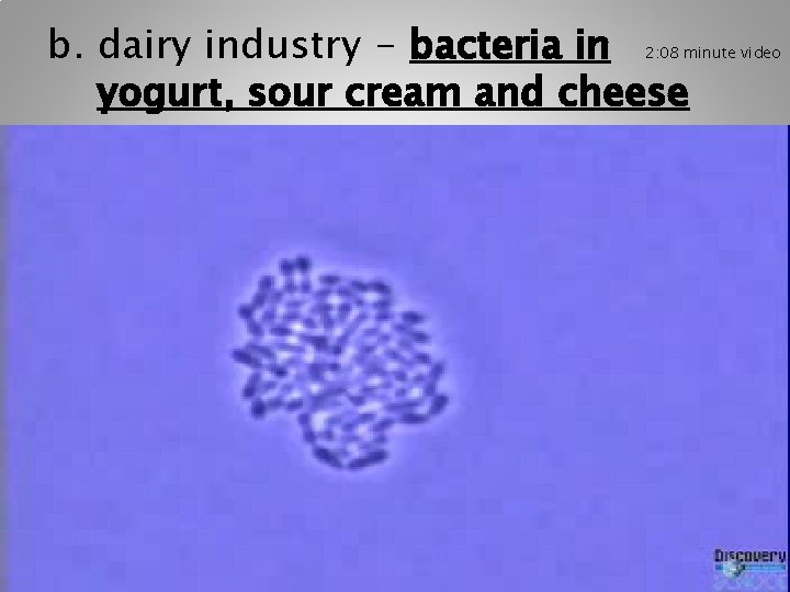 b. dairy industry - bacteria in yogurt, sour cream and cheese 2: 08 minute